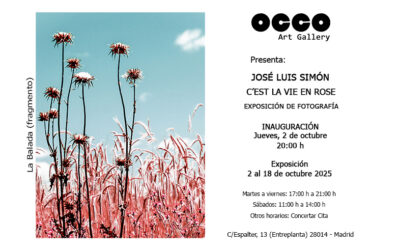 José Luis Simón, exposición C’EST LA VIE EN ROSE